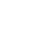 dial icon