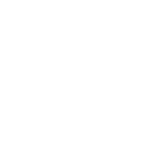 American flag icon