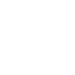 auto test icon