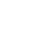 puzzles icon