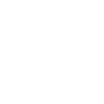 project icon