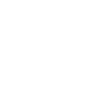 results icon