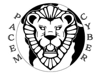 Dream Team LLC logo